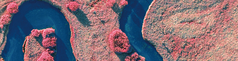 naslovnica KR 1-2020